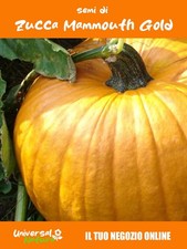 15 Semi di 🎃 Zucca Mammouth