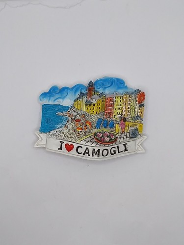 Magnete calamita resina frigo - resina,