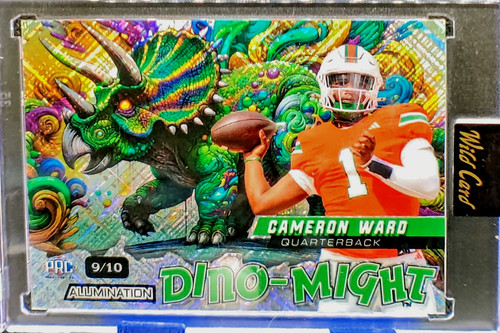 2024 wild card - wild,