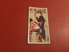 PANINI CALCIATORI 1974-75