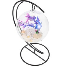 Desktop Betta Tank Casa