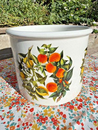 Portmerion arance limoni - portmerion,