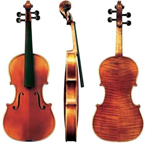 Violino maestro - maestro,