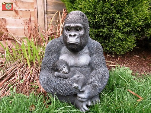 Silverback gorilla baby - silverback,