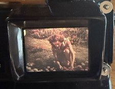 Pellicola 8mm La signora dei