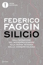 SILICIO  - FAGGIN FEDERICO -