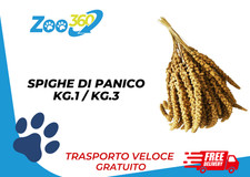 SPIGHE DI PANICO KG.1/KG.3 + TRASPORTO GRATUITO