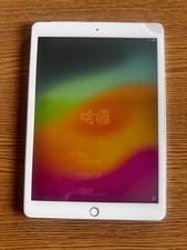 Apple iPad 7a generazione 32GB  Wi-Fi + Cellular Batteria Si Scarica Velocemente