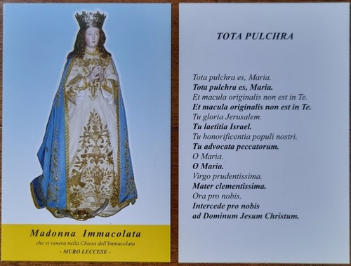 Madonna immacolata muro - madonna,