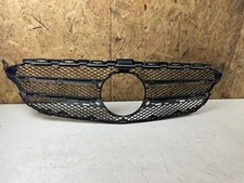 Griglia radiatore anteriore