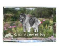 Cane da pastore del Caucaso