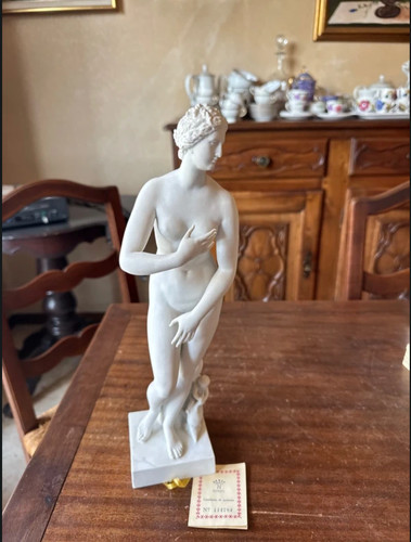 Statua venere medici - de,