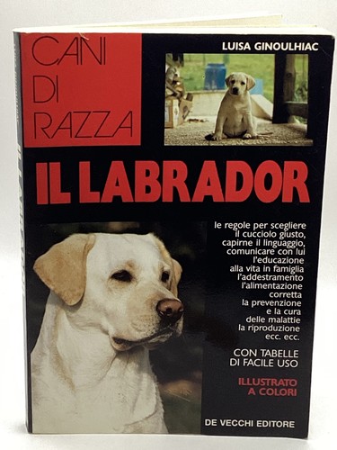 Labrador cani razza - il,