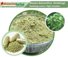 Capsula di Blumea Balsamifera