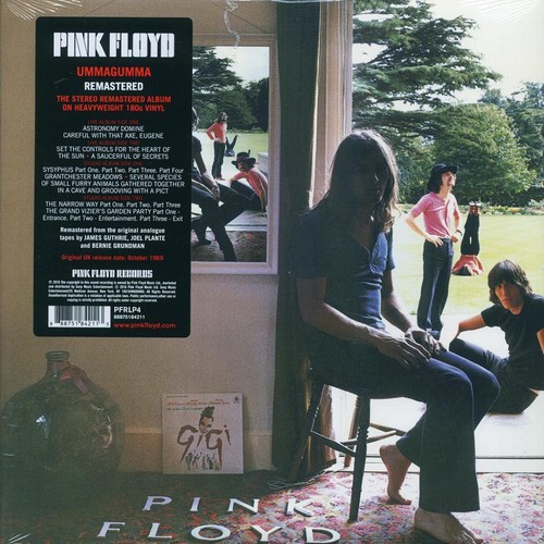 Vinyl pink floyd - vinyl, ummagumma