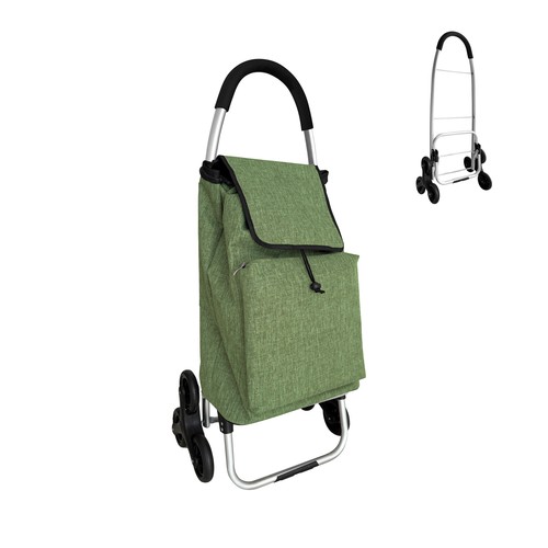 Carrello della spesa saliscale