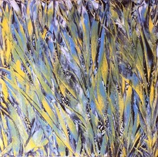 Quadro “ Natura “olio su tela 50 x 50 senza  cornice 