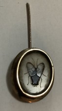 entomology, antique brooch
