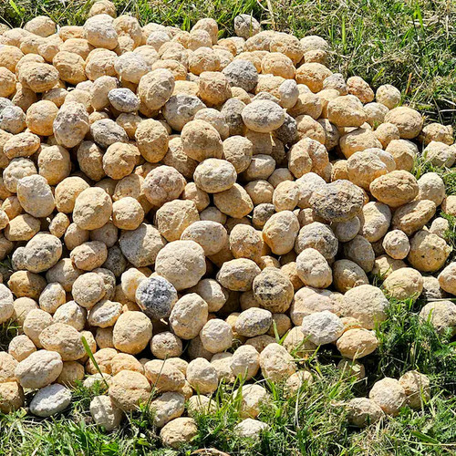 Quartz geodes break your - -,