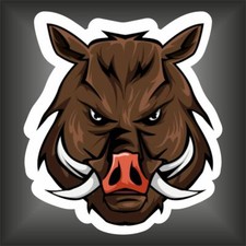 adesivo STICKER  CINGHIALE
