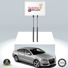 Molle gas bagagliaio audi - gas,