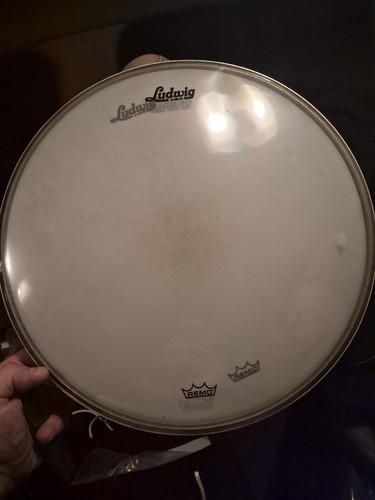 Ludwig testine batteria - 14,