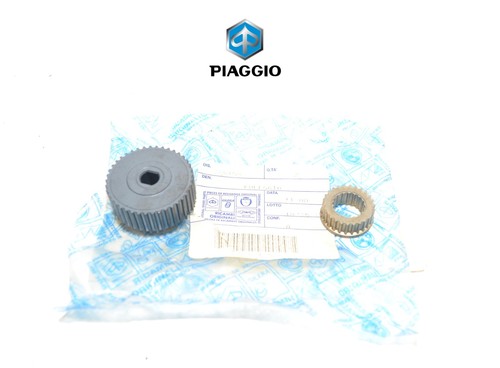 Ingranaggi pompa acqua