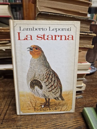 Starna leporati - la, l.