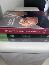 netter Gray. L'anatomia
