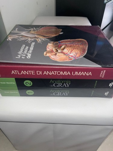 Netter gray anatomia - netter, gray.