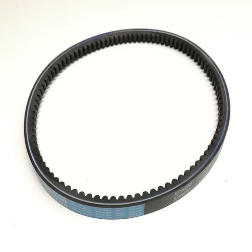 Cinghia trasmissione grillo - cinghia,
