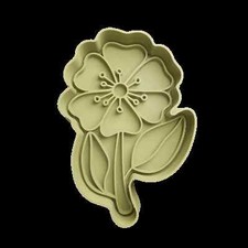 Margherita Fiore tagliapasta