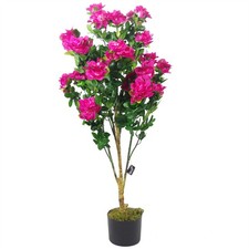 Pianta in vaso con fiori rosa