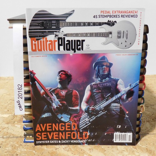 Guitar player avenged - guitar,