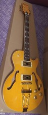 Chitarra elettrica - chitarra,