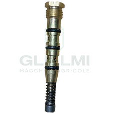 Pompa Olio Motosega Echo 302