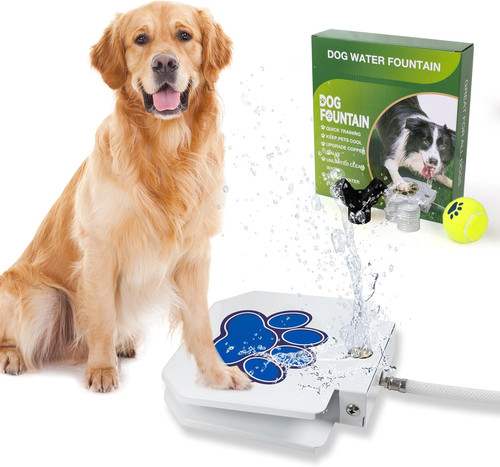 Fontanella per cani animali - cani,