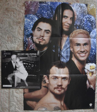 Red Hot Chili Peppers – My Friends Vinyl, 12", 33 ⅓ RPM, Limited Edition, Poster