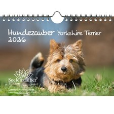 Magia per Cani Yorkshire Terrier DIN A5 Calendario per 2026 Cuccioli e Cani - Anime