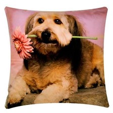 Misto Razza Cane con Una Fiore Ciniglia Cotone 43.2x43.2cm per Divano / Letto /