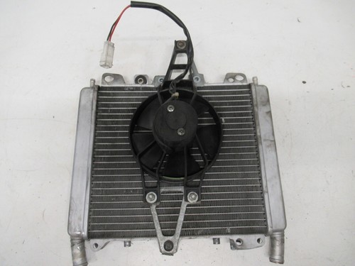 Radiatore acqua piaggio - radiatore,