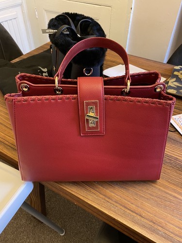 Borsa mano carpisa rossa - a,