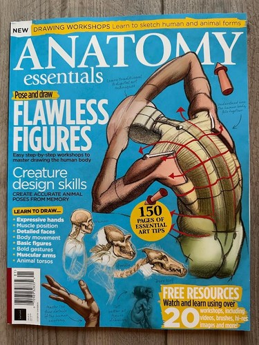 2024 anatomy essentials - anatomy,
