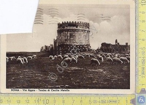 Roma via appia con pecore - appia,