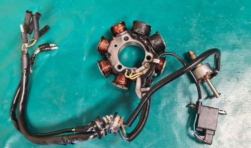 Stator allumage complet quad - d'allumage,