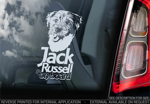 Adesivo auto jack russel - auto,