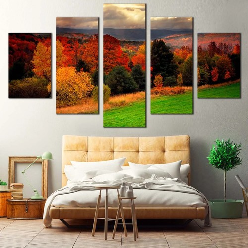 Vermont autunno fogliame - vermont,