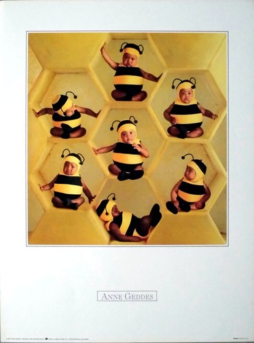 Geddes anne 1993 - anne,