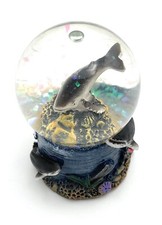 Squalo Pesce Mare Altezza