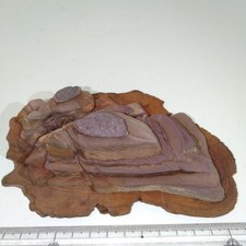 Suiseki Bonseki Bonsai